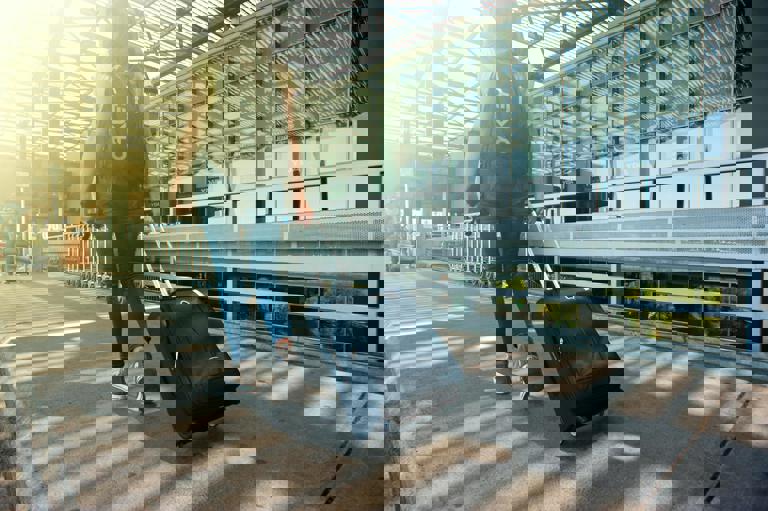 Travel Plans Derailed as Half a Million Pounds Discovered in Couple’s Suitcases at Gatwick